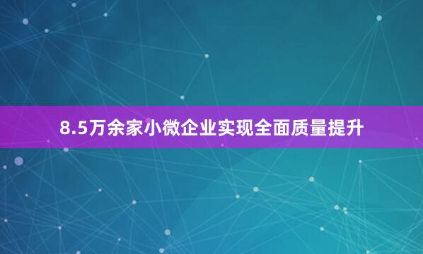 8.5万余家小微企业实现全面质量提升