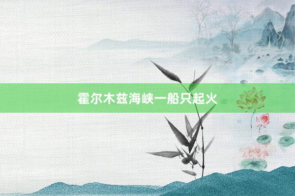 霍尔木兹海峡一船只起火
