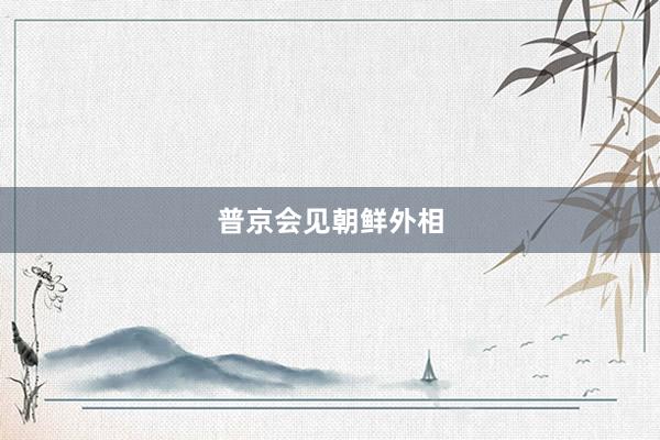 普京会见朝鲜外相