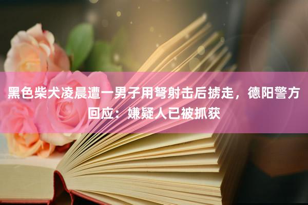 黑色柴犬凌晨遭一男子用弩射击后掳走，德阳警方回应：嫌疑人已被抓获