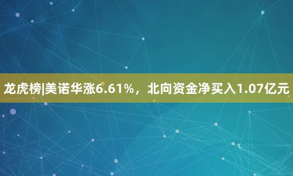 龙虎榜|美诺华涨6.61%，北向资金净买入1.07亿元