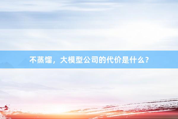 不蒸馏，大模型公司的代价是什么？