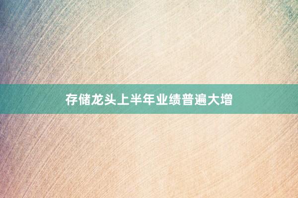 存储龙头上半年业绩普遍大增