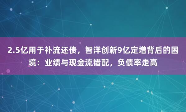 2.5亿用于补流还债，智洋创新9亿定增背后的困境：业绩与现金流错配，负债率走高