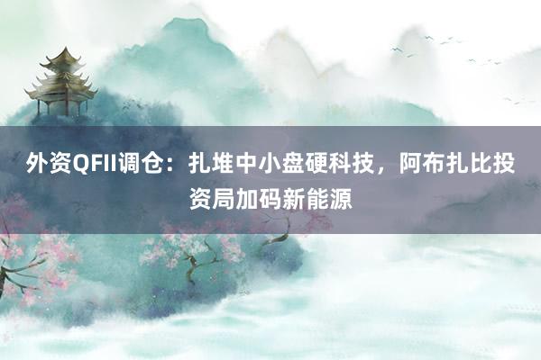 外资QFII调仓：扎堆中小盘硬科技，阿布扎比投资局加码新能源