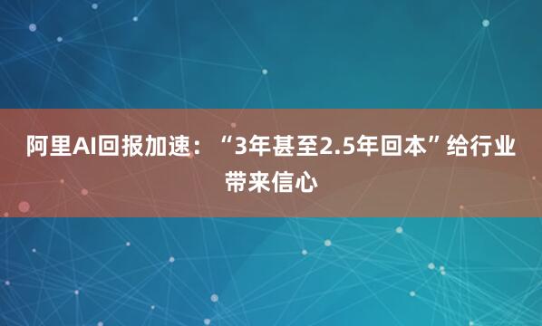 阿里AI回报加速：“3年甚至2.5年回本”给行业带来信心