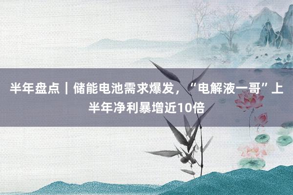 半年盘点｜储能电池需求爆发，“电解液一哥”上半年净利暴增近10倍