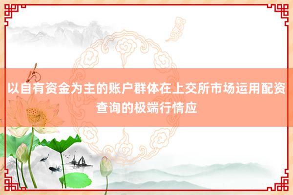 以自有资金为主的账户群体在上交所市场运用配资查询的极端行情应