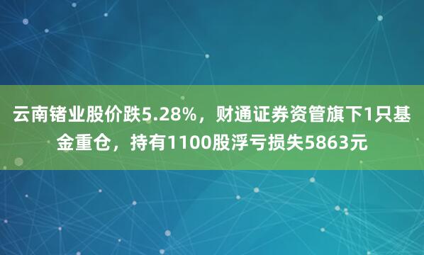 云南锗业股价跌5.28%，财通证券资管旗下1只基金重仓，持有1100股浮亏损失5863元