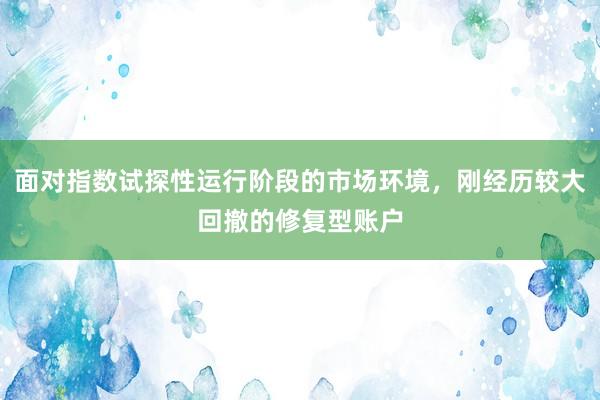 面对指数试探性运行阶段的市场环境，刚经历较大回撤的修复型账户
