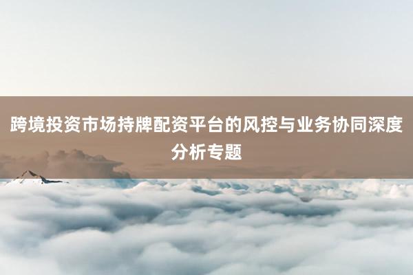 跨境投资市场持牌配资平台的风控与业务协同深度分析专题