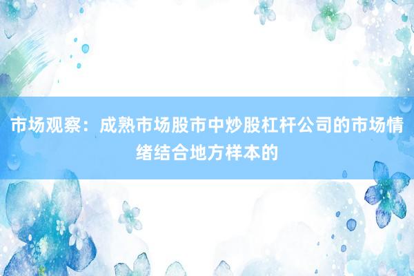 市场观察：成熟市场股市中炒股杠杆公司的市场情绪结合地方样本的