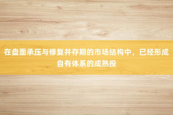 在盘面承压与修复并存期的市场结构中，已经形成自有体系的成熟投