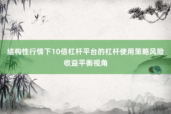 结构性行情下10倍杠杆平台的杠杆使用策略风险收益平衡视角