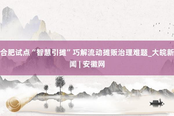 合肥试点“智慧引摊”巧解流动摊贩治理难题_大皖新闻 | 安徽网