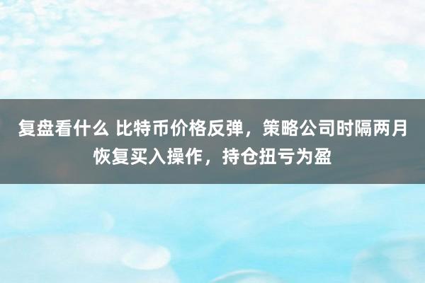 复盘看什么 比特币价格反弹，策略公司时隔两月恢复买入操作，持仓扭亏为盈