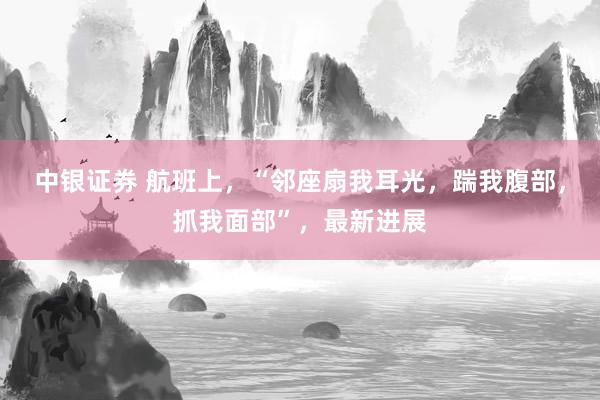 中银证券 航班上，“邻座扇我耳光，踹我腹部，抓我面部”，最新进展