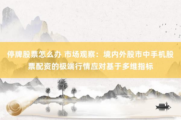停牌股票怎么办 市场观察：境内外股市中手机股票配资的极端行情应对基于多维指标