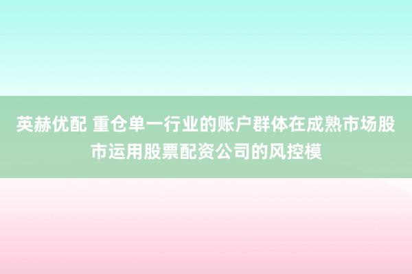 英赫优配 重仓单一行业的账户群体在成熟市场股市运用股票配资公司的风控模