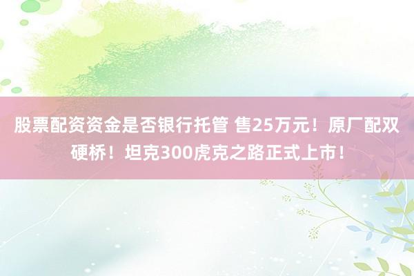 股票配资资金是否银行托管 售25万元!原厂配双硬桥!坦克300虎克之路正式上市!