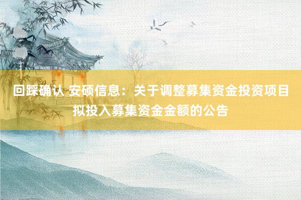 回踩确认 安硕信息：关于调整募集资金投资项目拟投入募集资金金额的公告