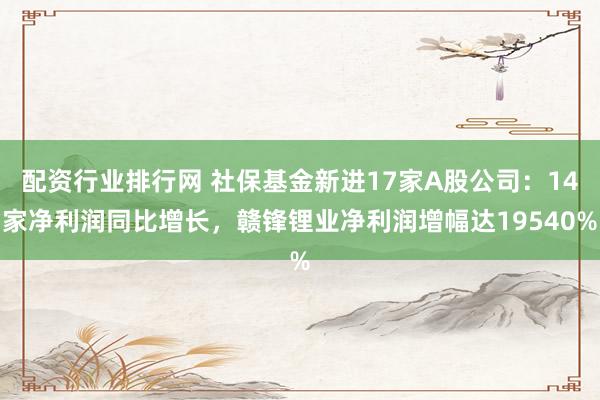 配资行业排行网 社保基金新进17家A股公司:14家净利润同比增长,赣锋锂业净利润增幅达19540%